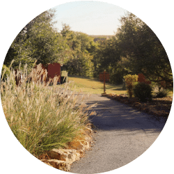 Scenic pathway at Enterhealth Ranch.